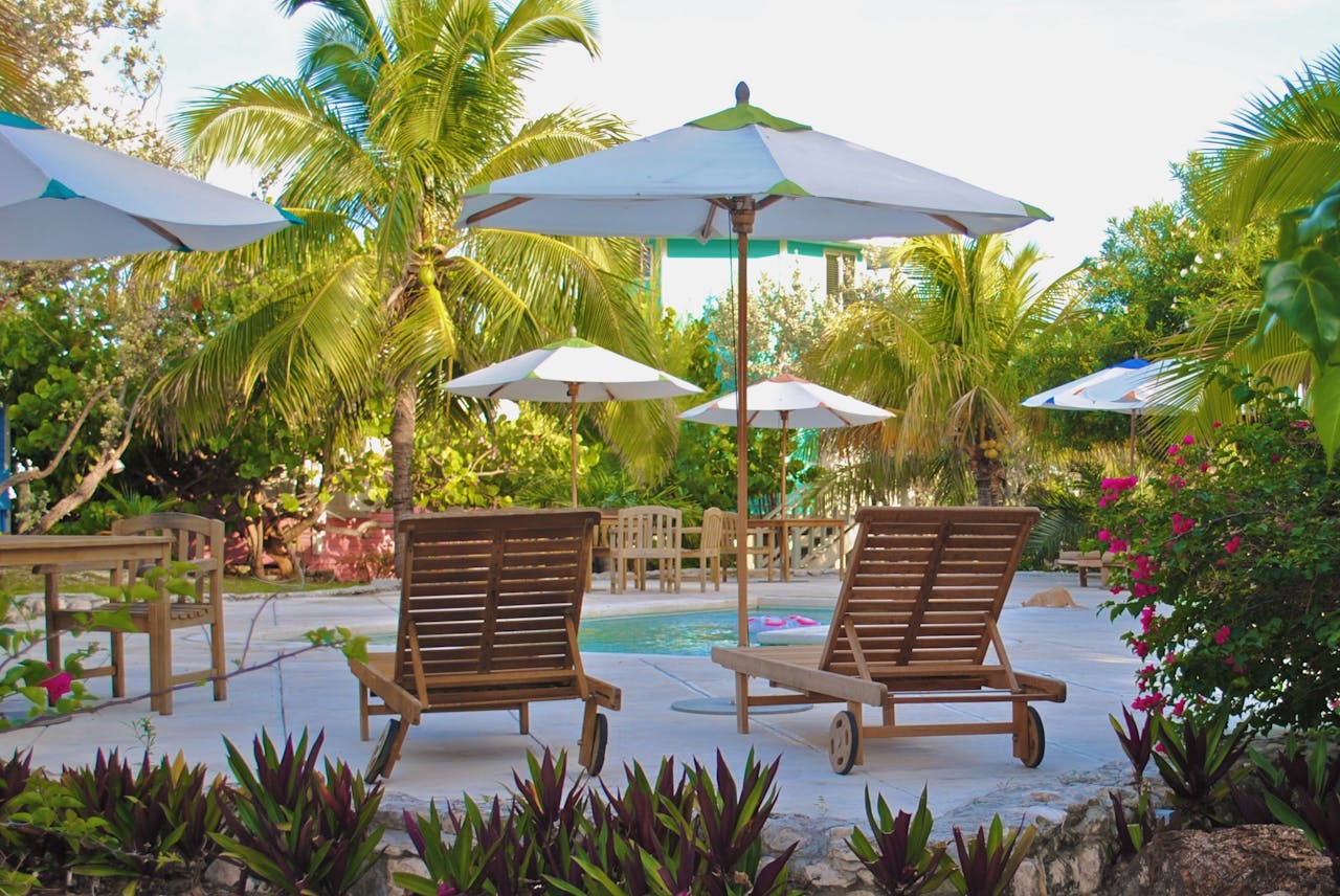 Home A serene poolside setting with chairs, umbrellas, and lush palm trees, perfect for a tropical getaway.